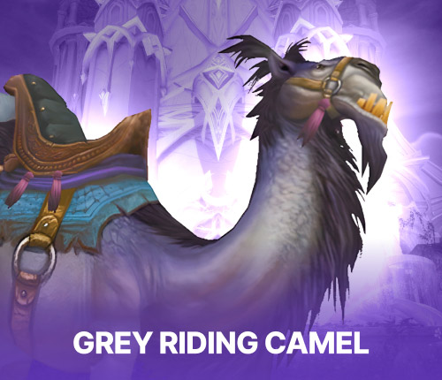 Grey Riding Camel Mount