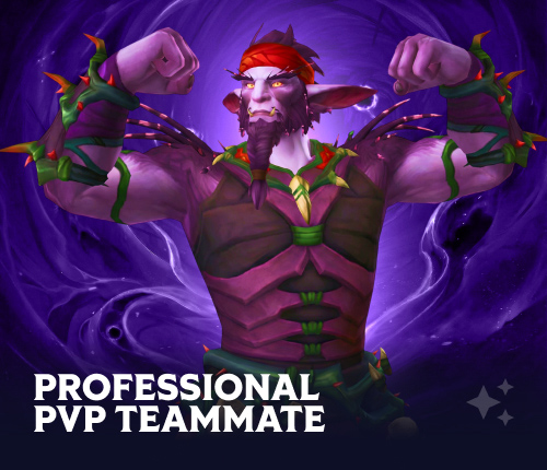 PROFESSIONAL PVP TEAMMATE