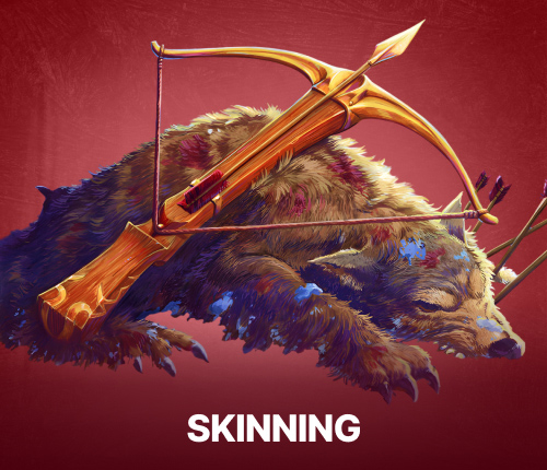 Skinning Classic Anniversary