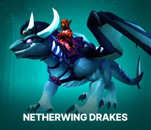 Netherwing Drakes