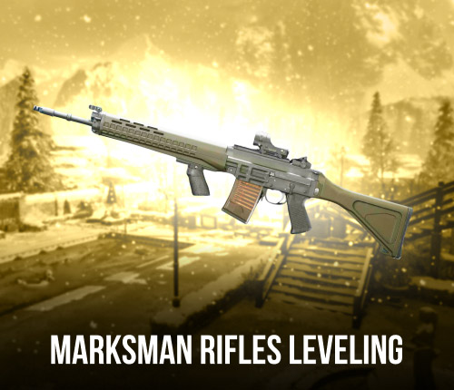 MARKSMAN RIFLES LEVELING