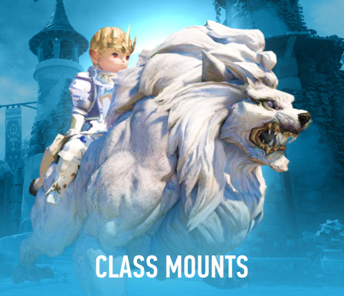 Class Mounts