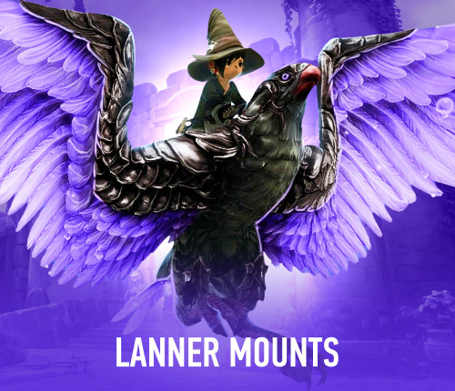 Lanner Mounts