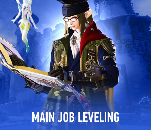 Main Job Leveling