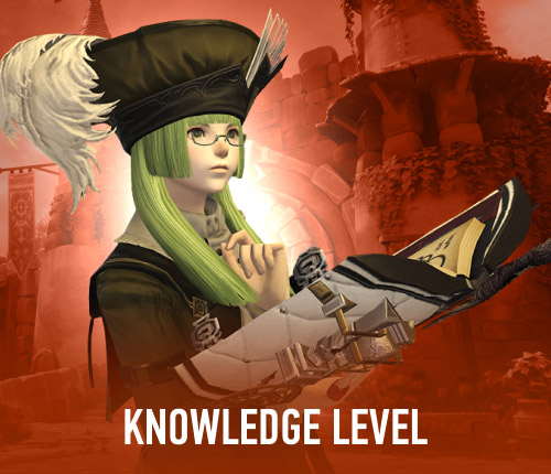 Knowledge Level