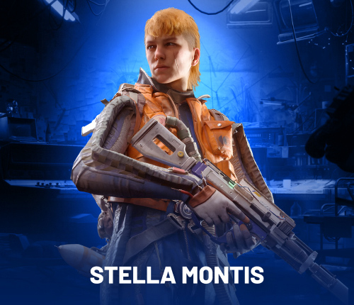 Stella Montis Raid