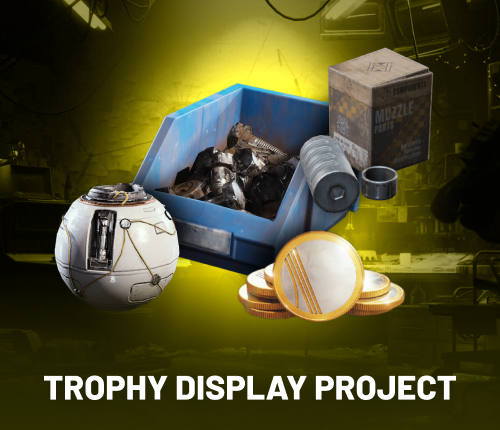 Trophy Display Project