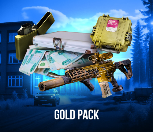 EFT GOLD PACK | LVL 32