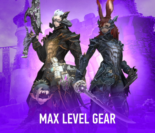 Max Level Gear